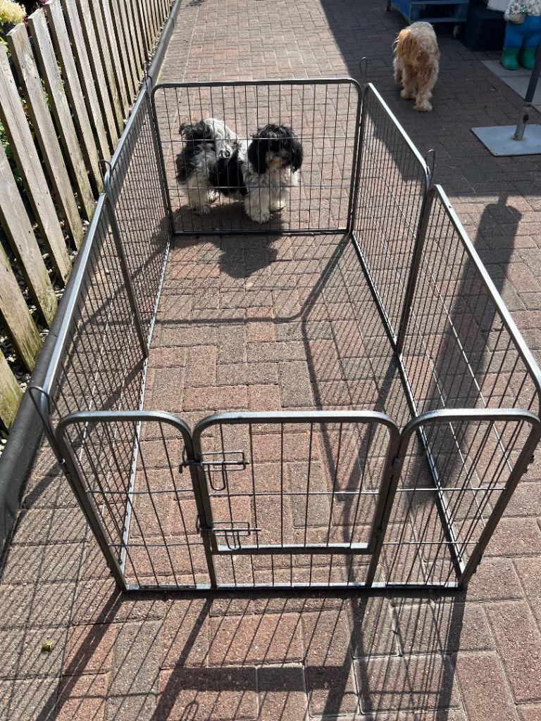  6 panel Pet  medium cage 