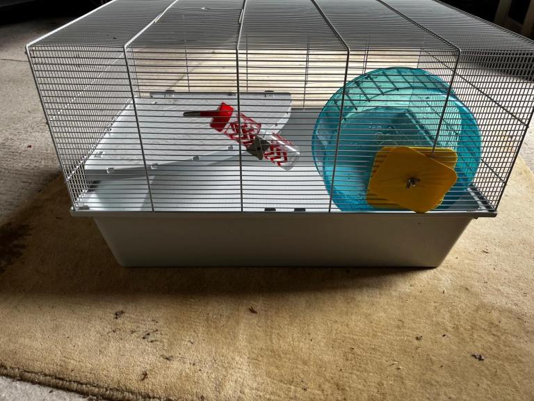 Hamster cage