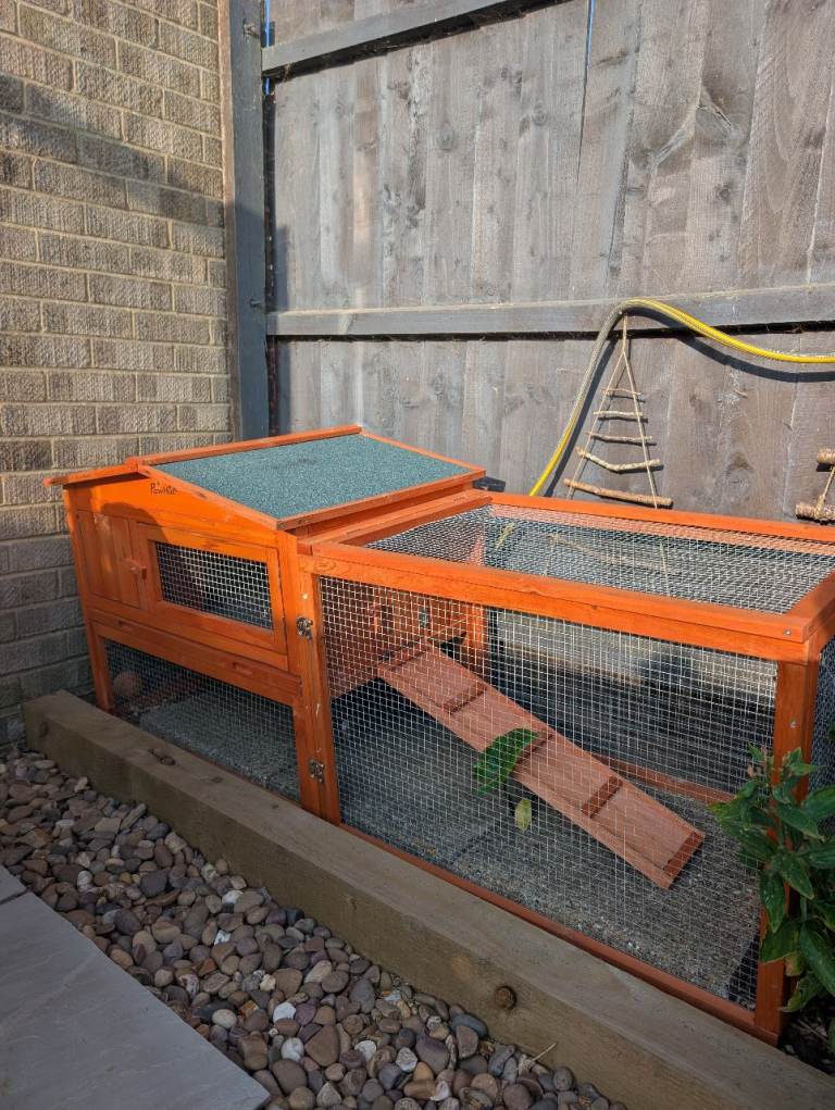 Guineapig Hutch & Run, New