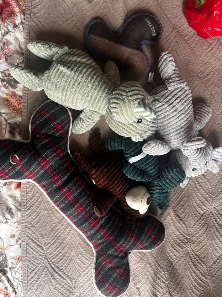 Large dog toys