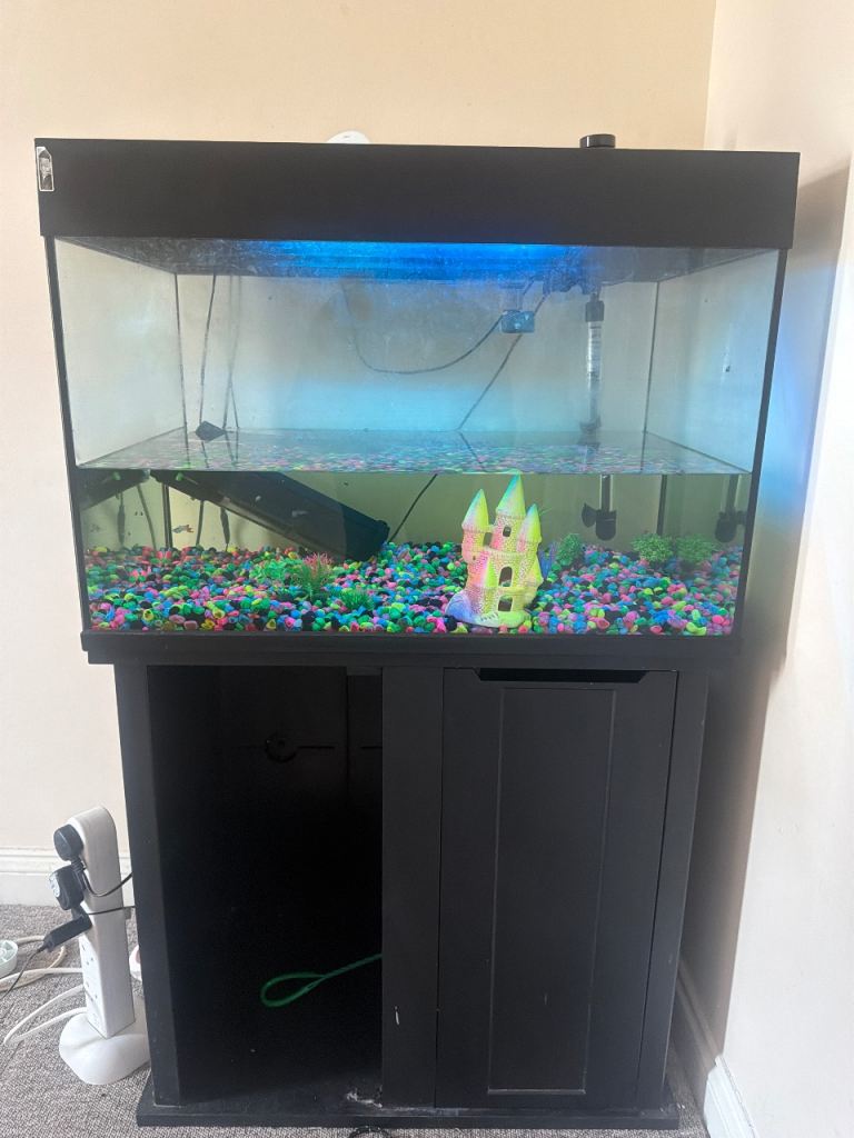 Aquarium Fish Tank with Stand and Accessories
