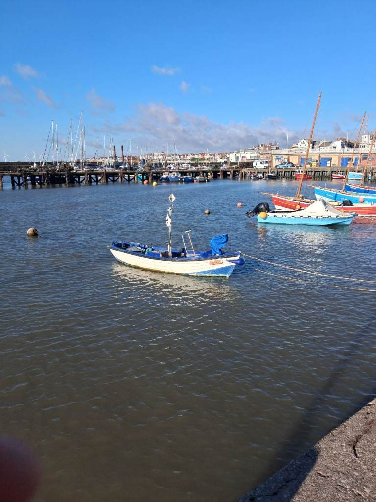 19 foot boat grp