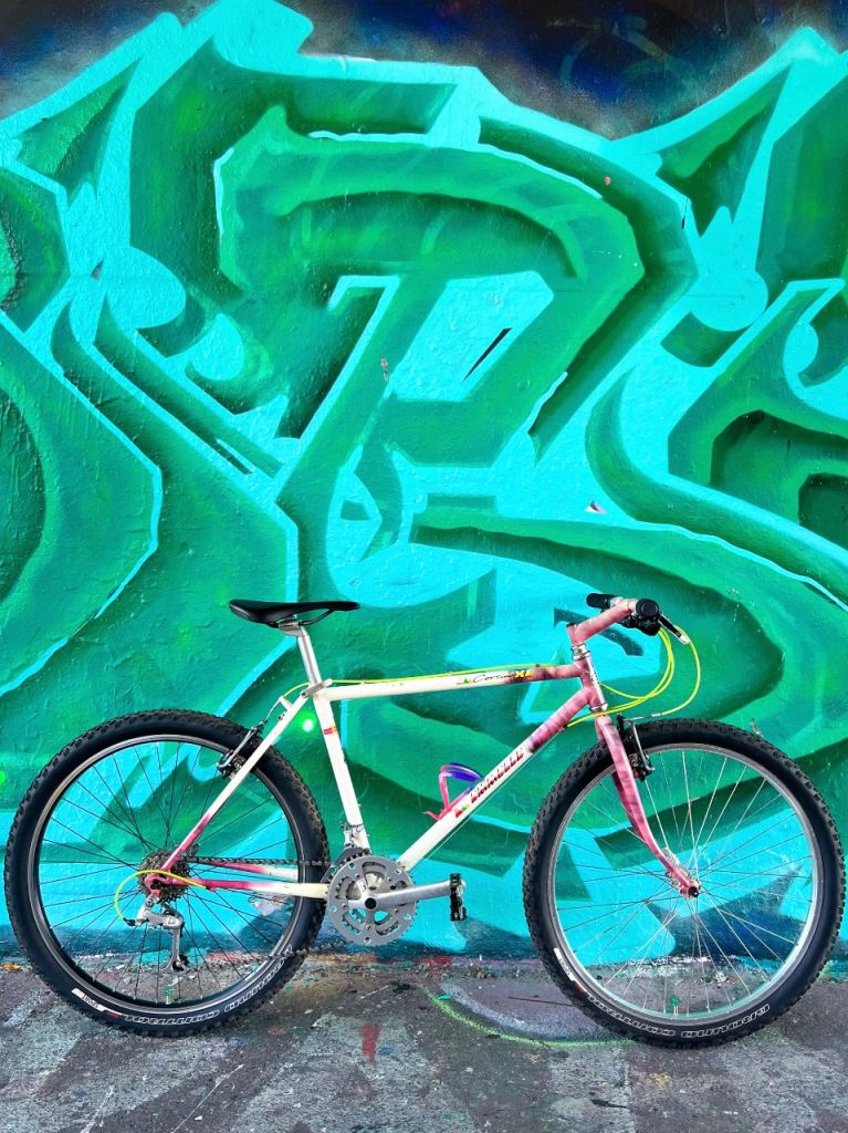 Emmelle Retro Mountain Bike - Fully Serviced