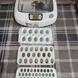 R com pro 20  incubator for sale