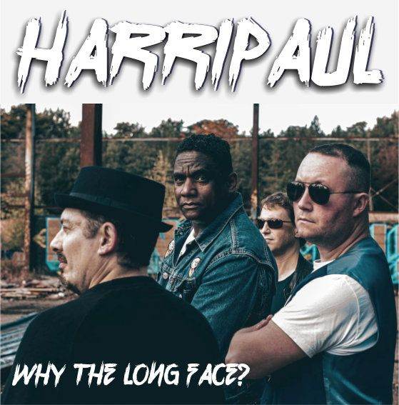 BASS PLAYER WANTED 4 UP & COMING BAND COVERS & ORIGINALS ROCK POP SOUL REGGAE BLUES