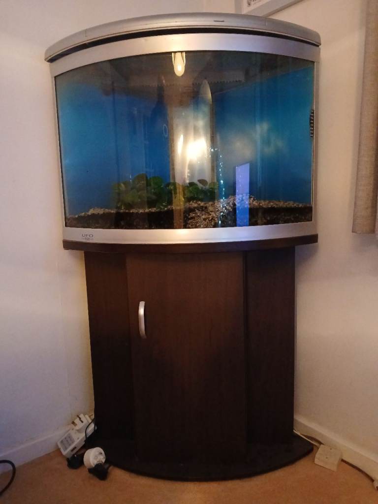 Aquarium 