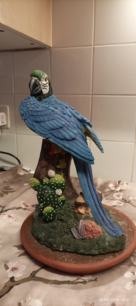 AVAILABLE STILL Large Blue Macaw Bird mounted on a Real Solid Terracotta Dish £25