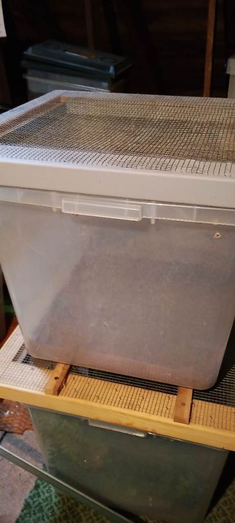 3 gecko terrarium vivariums