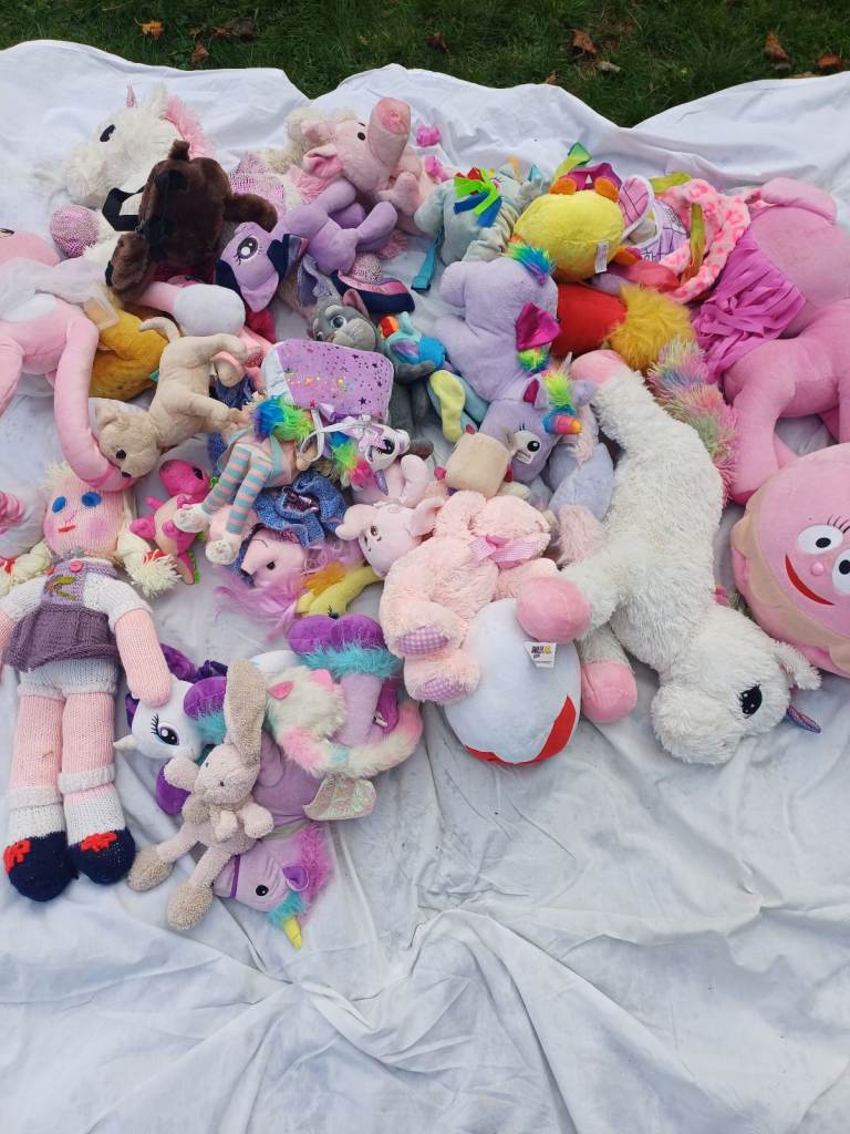 JOB LOT 27 TO 30 CUDDLY TOYS