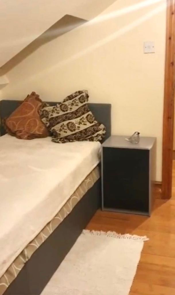 1 bed studio loft flat including bills for single occupancy or two people welcome Postcode E11 4EQ