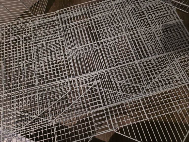 Birds cage and birds elements