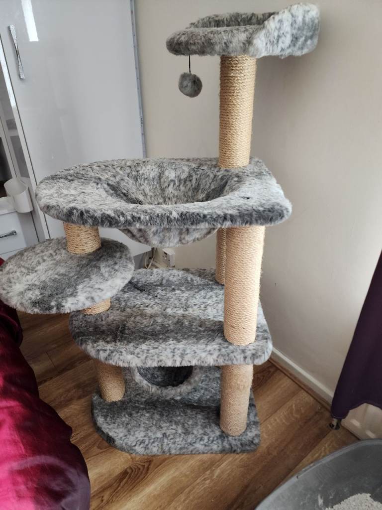Beautiful cat tree 