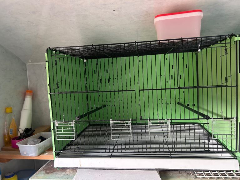 Bird cages 