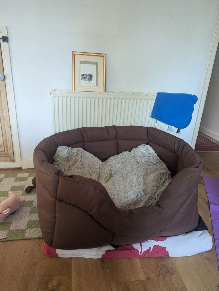 Dog bed