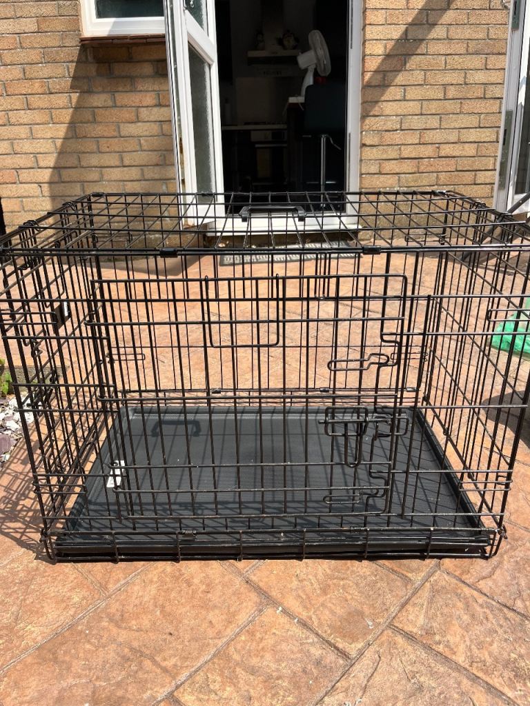 Kong Medium Dog Crate