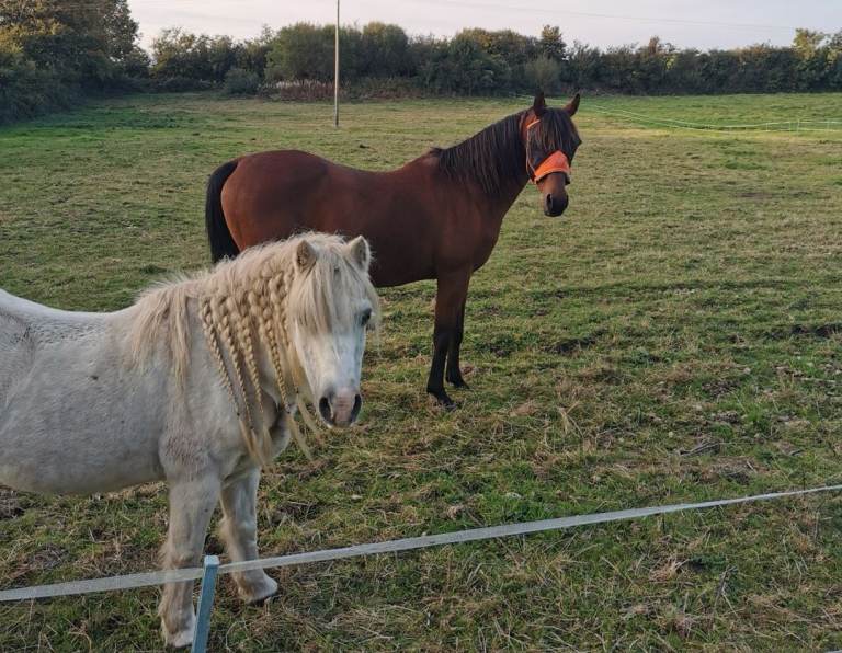 3-6 acres wanted to buy