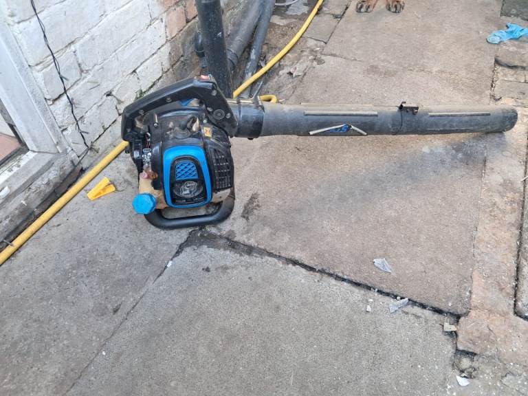 Petrol leaf blower 