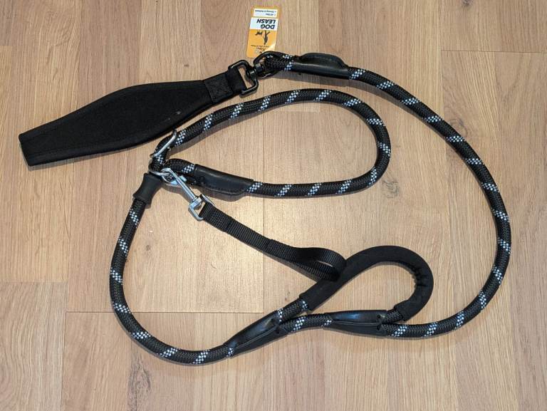 Slip lead for dog