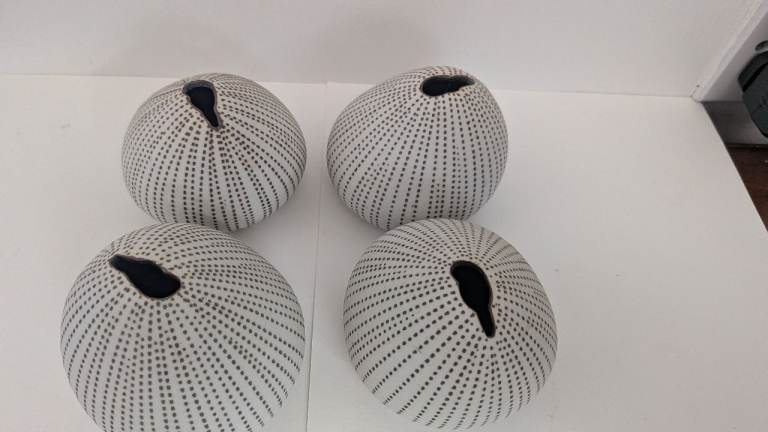 Sea urchin vases