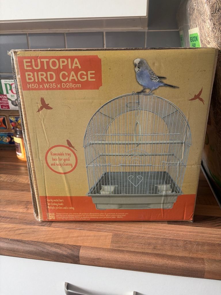 Bird cage 