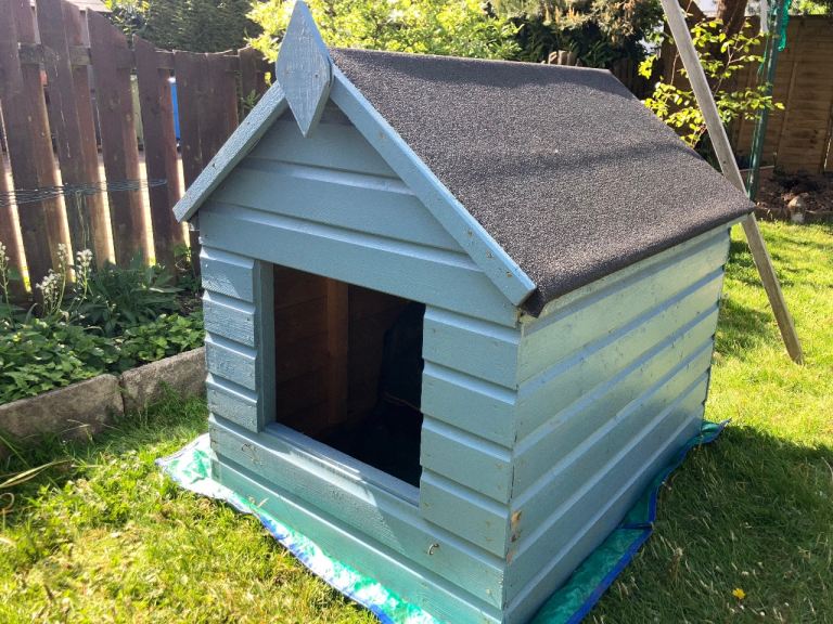 Dog kennel