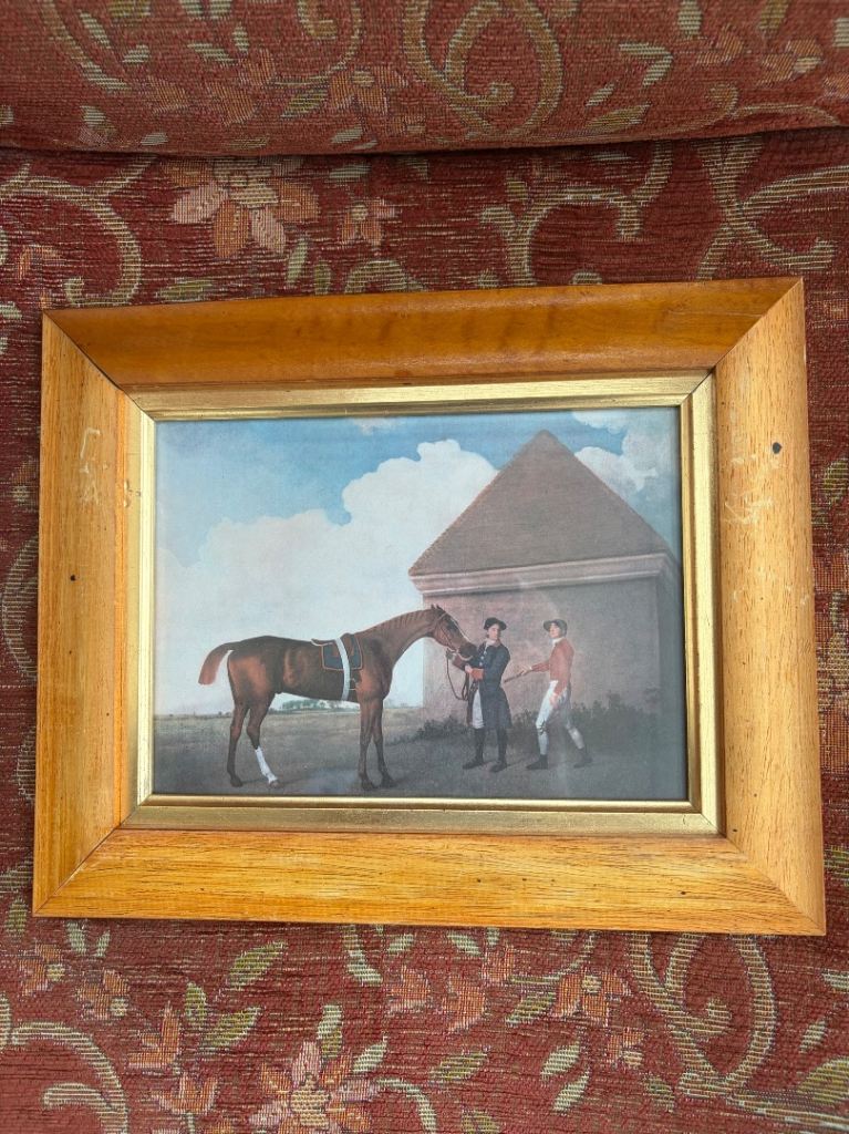 Eclpse thoroughbred horse 