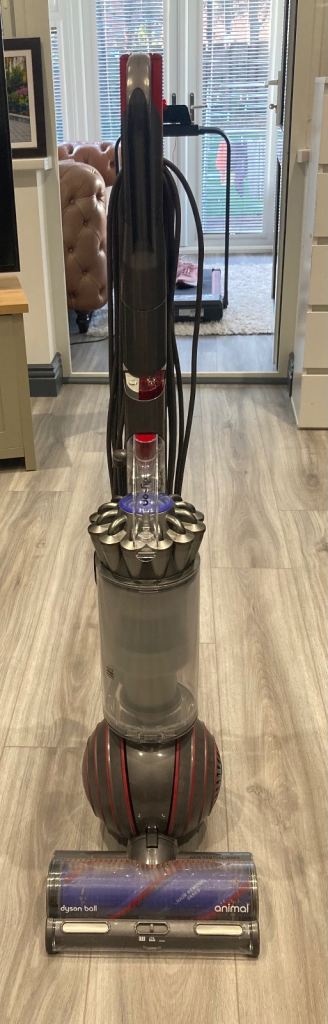 Dyson Ball Animal