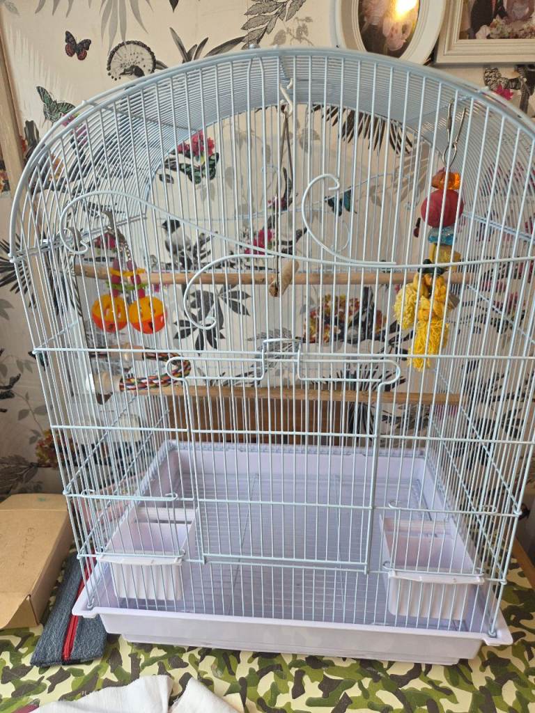 Bird cage 