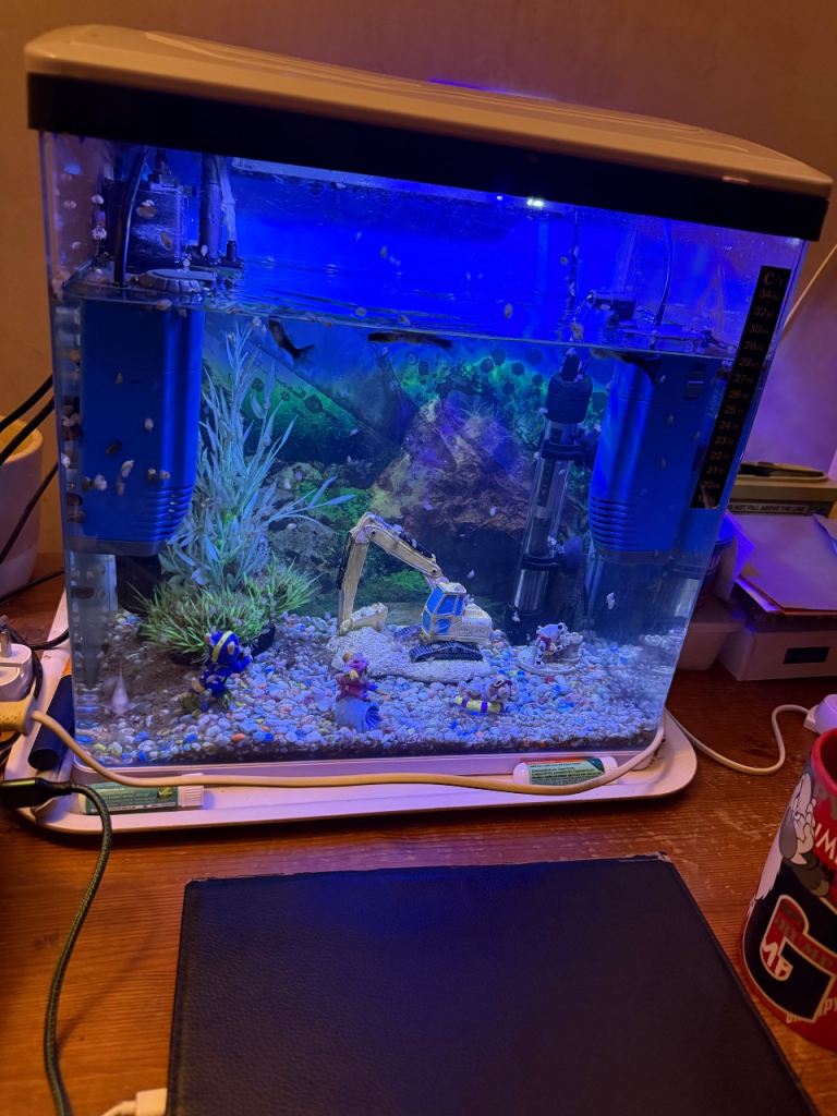 Tropical fish tank for sale full set up. 