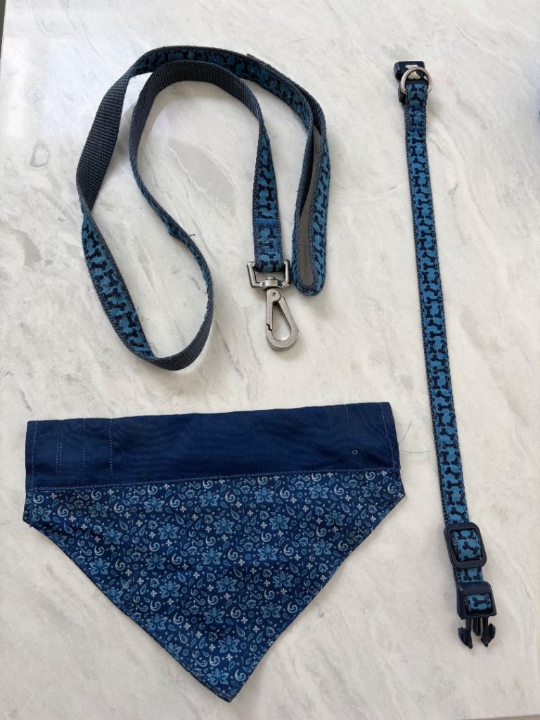 Blue dog collar, lead and bandana 