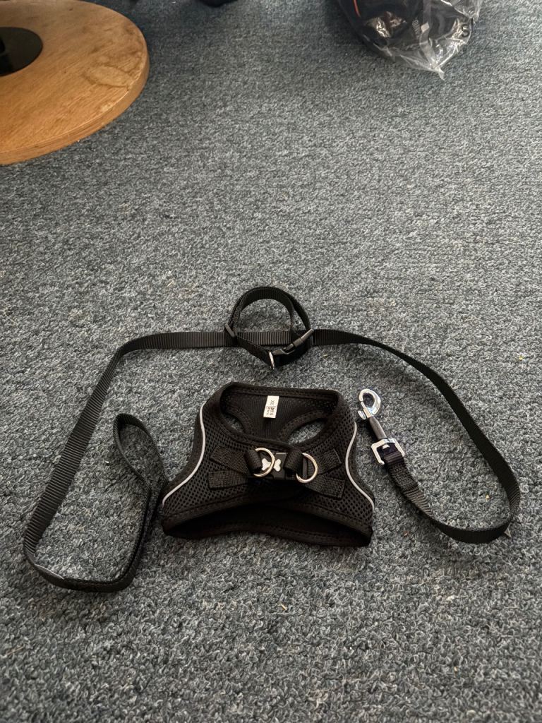 Black Dog Harness and Lead Set