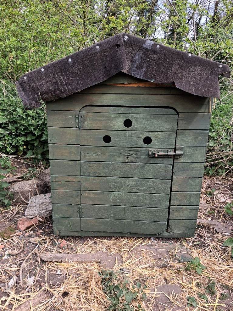Wooden kennel 