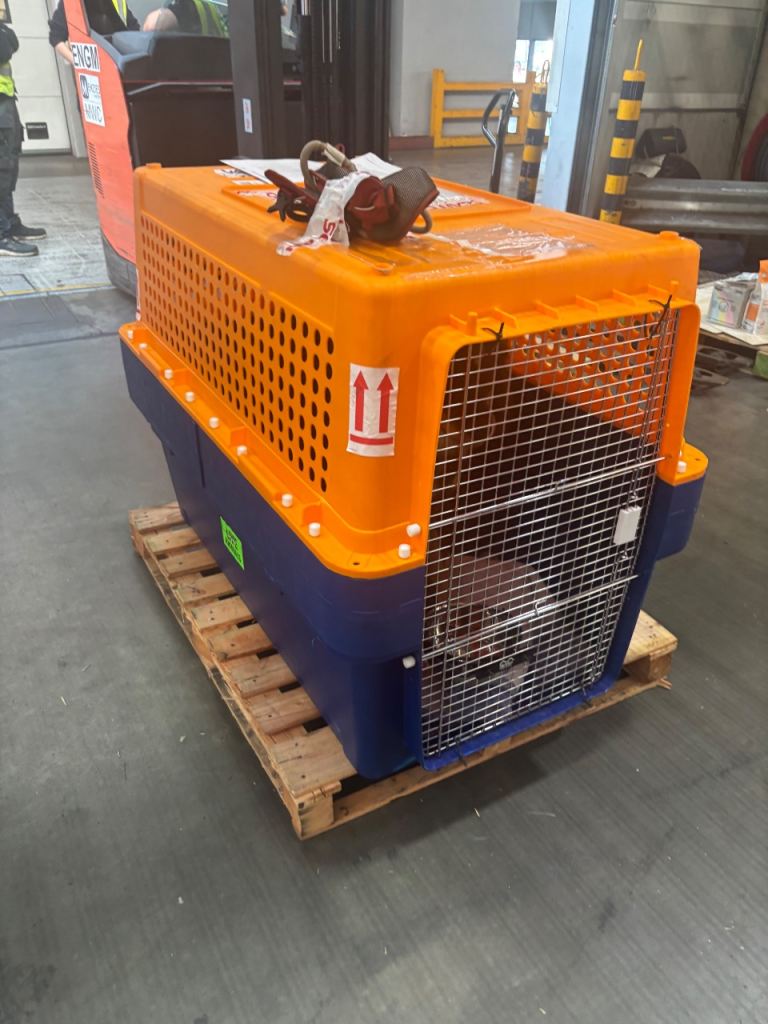 Dog travel crate PP100