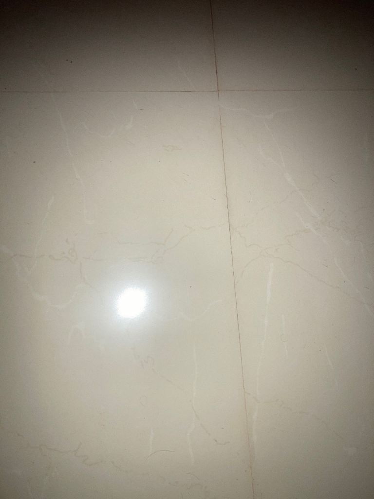 Cream/Beige Ceramic Floor Tiles – Unused