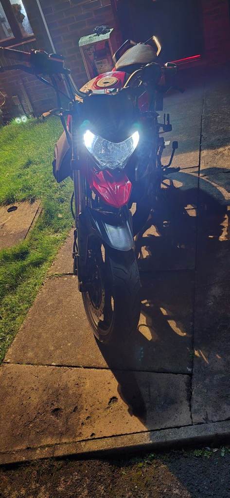 Lexmoto, VIPER, 2018, 124 (cc)