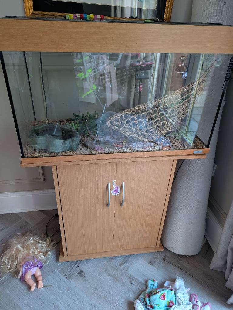 Vivarium/fish tank 