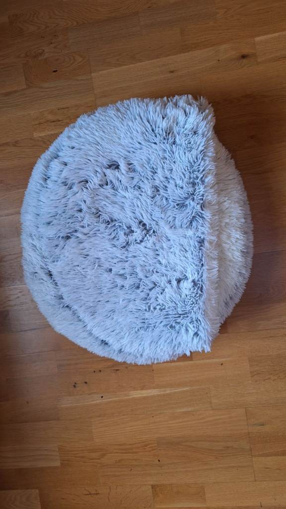 Dog bed