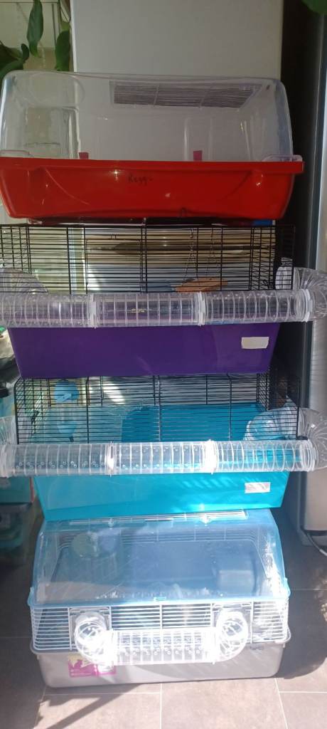 Hamster Cages & Accessories 