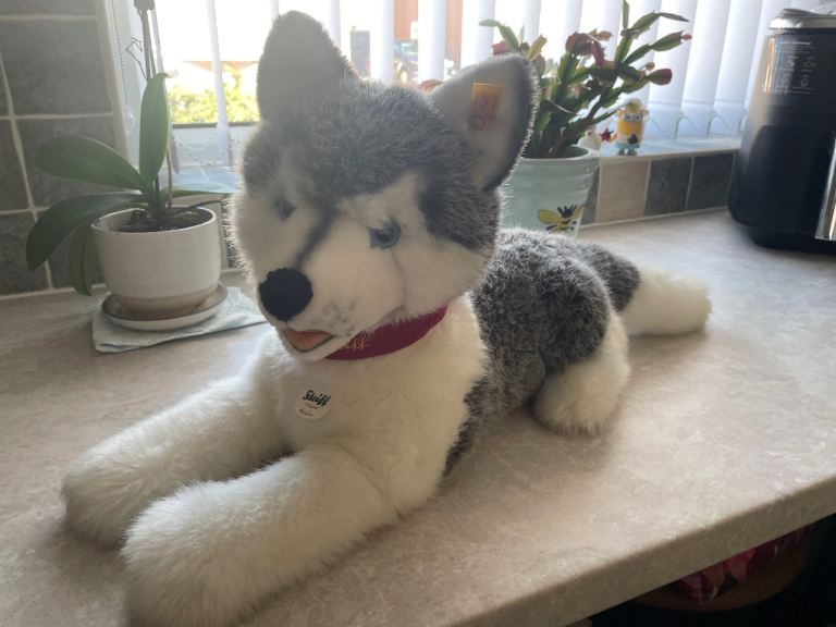 Steiff Bernie Bear - Husky Dog Plush, Excellent Condition