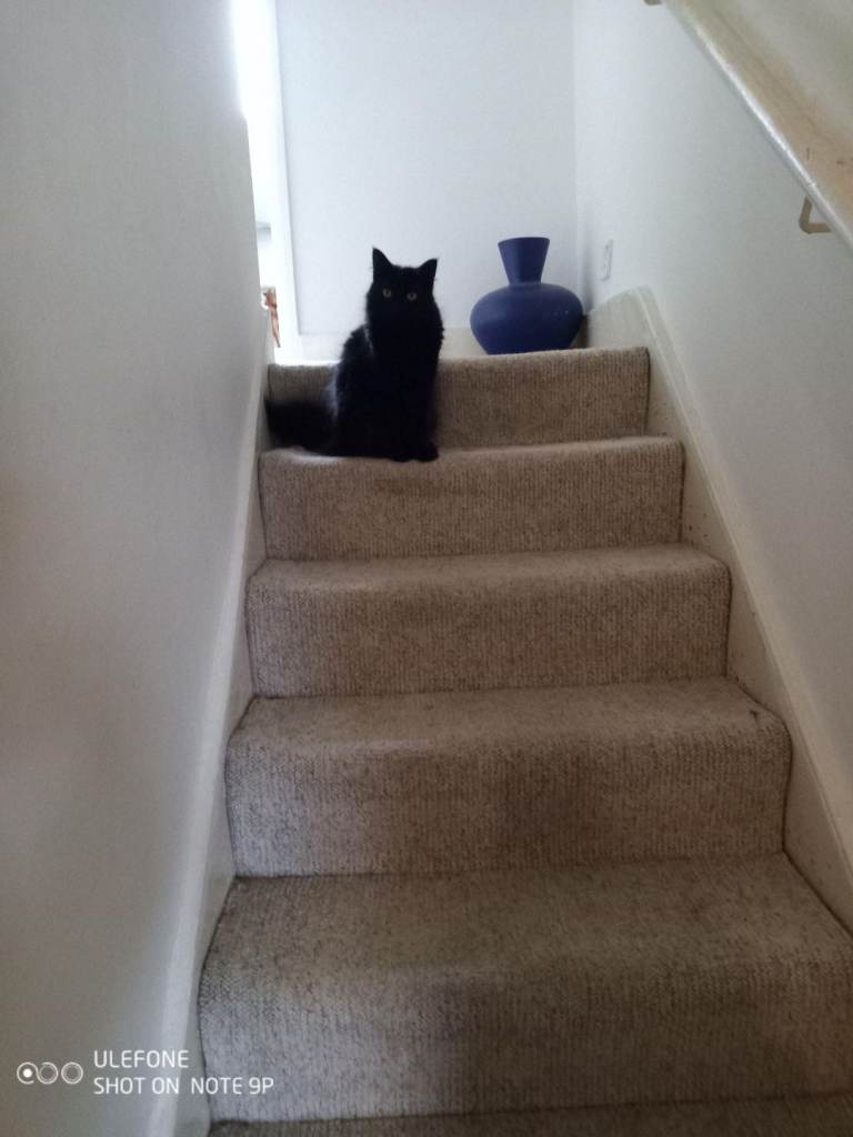 URGENT HOME SWAP WANTED 