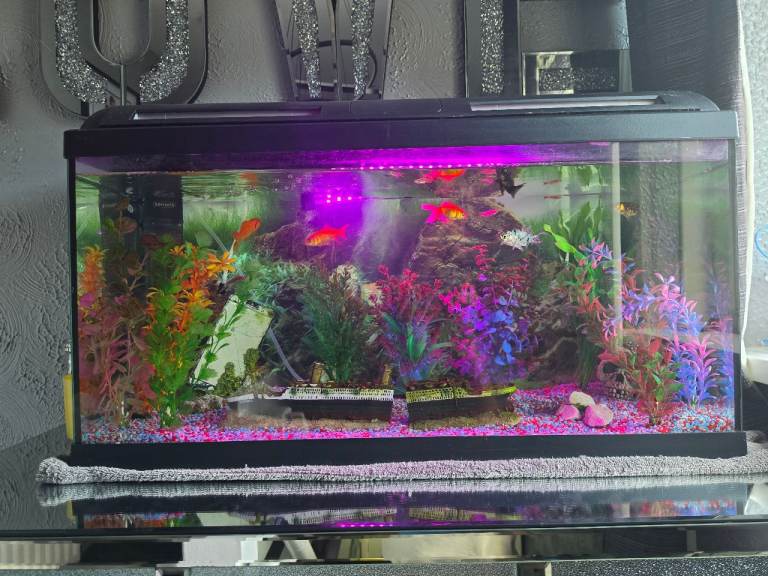 Fish Tank Aquarium with LED Light and Decorations – Good Condition
