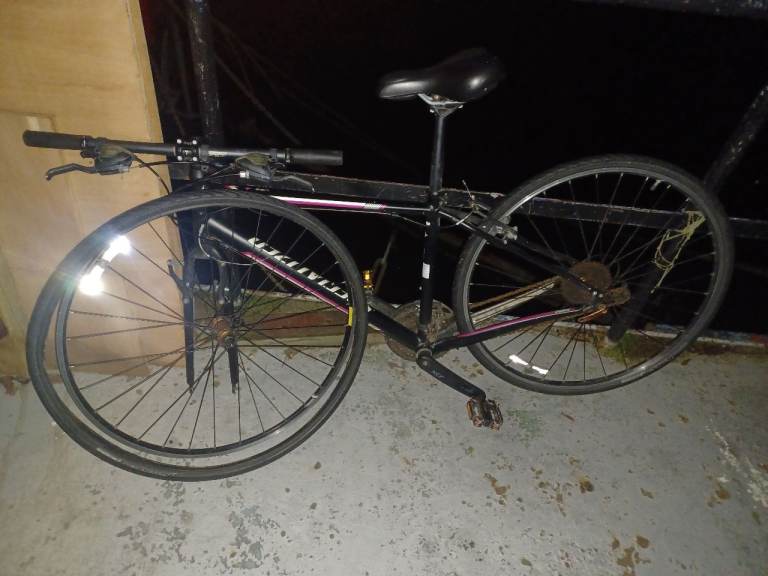 Vita Specialised Bike