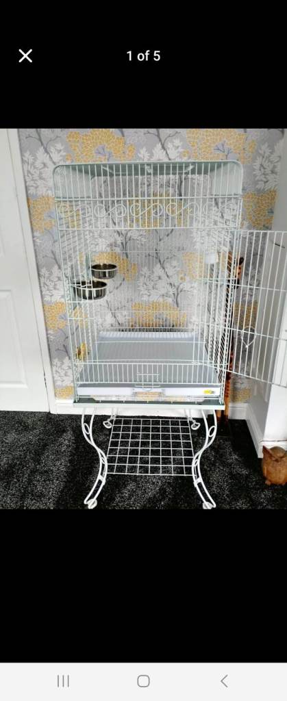 Budgie cage