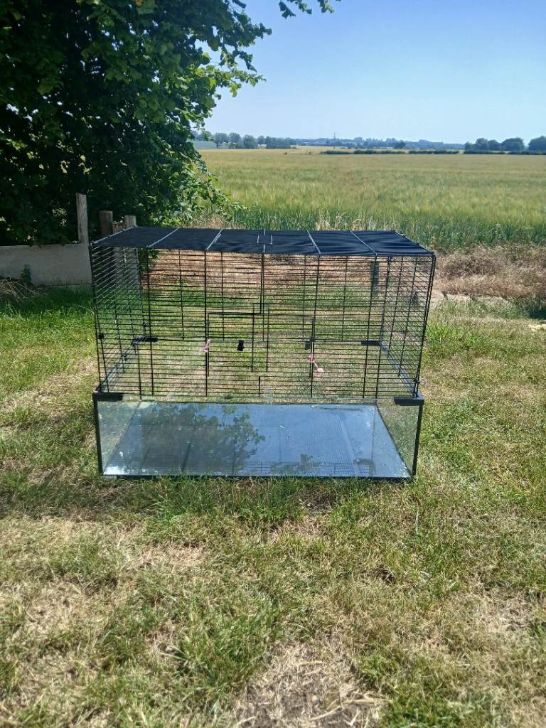 Glass based hamster cage