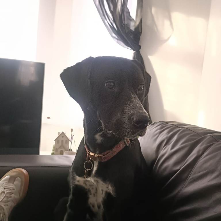 1 year old female 