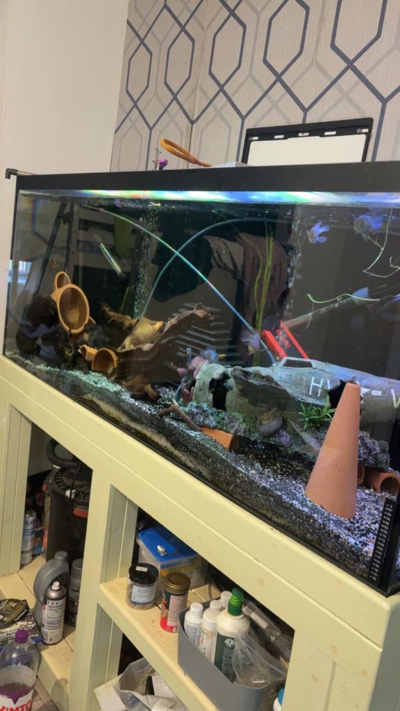 Tank and set up 