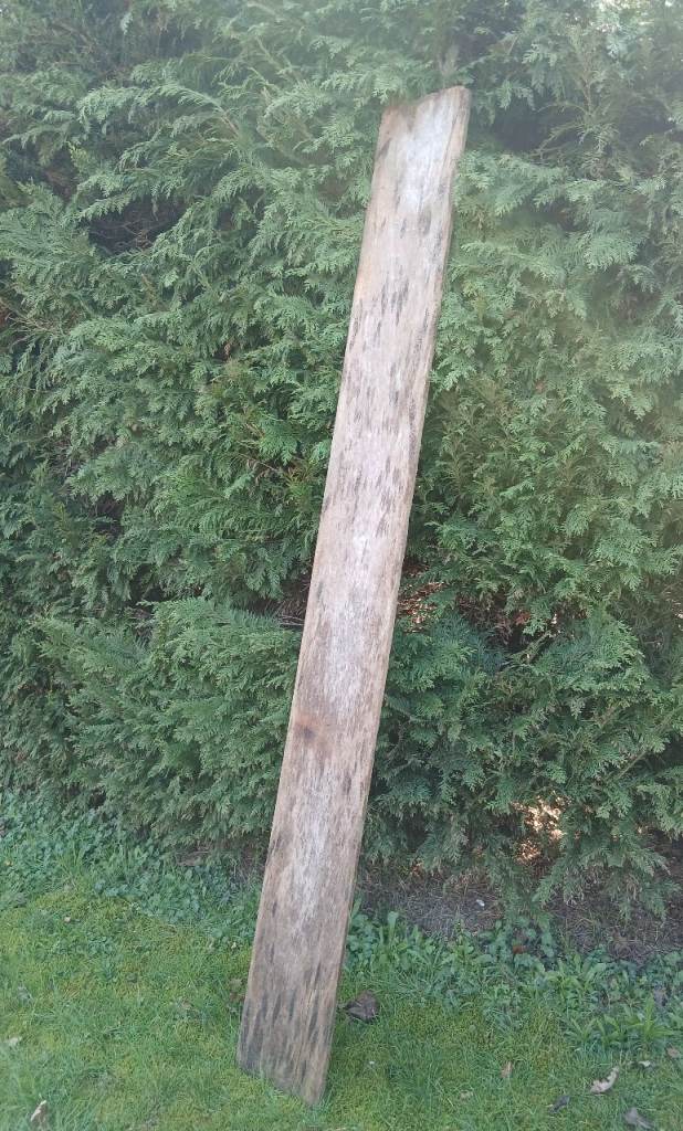 8ft tall plank of wood