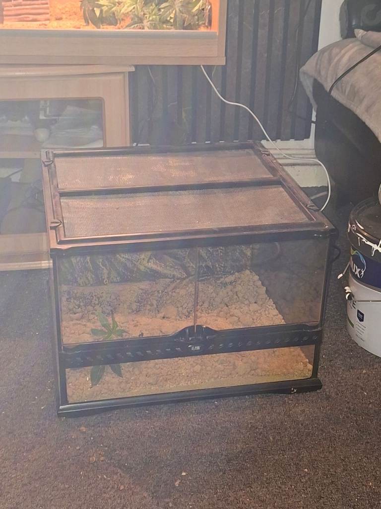 Exo terra glass tank 