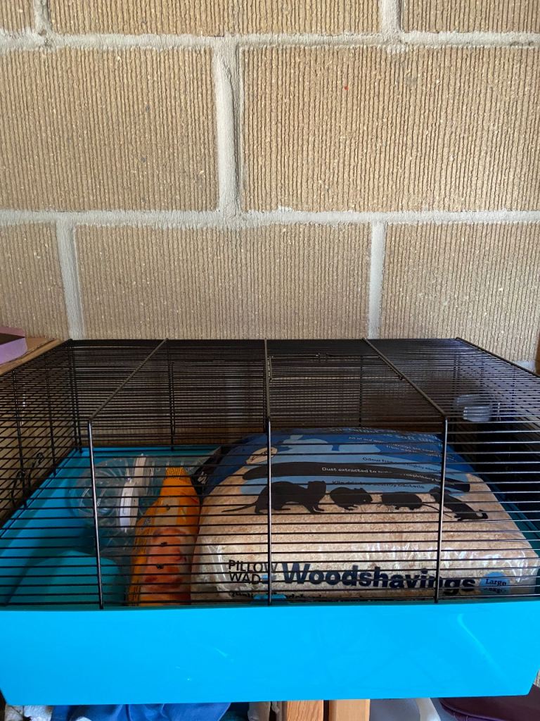 Hamster Cage