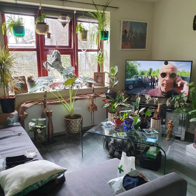 1 bed ground flat 55 and over